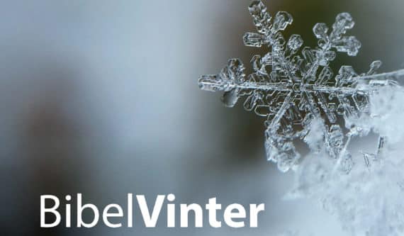 Bibel Vinter