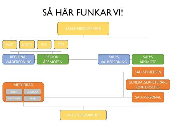 SAUs organisation
